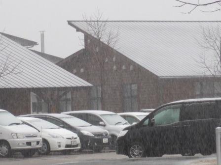 （写真）雪が降っています