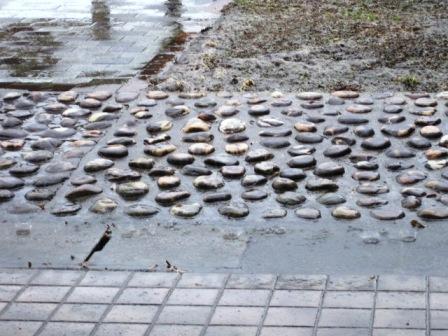 （写真）雨降り