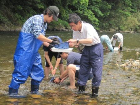 （写真）水生昆虫採取