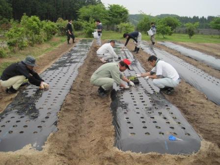 （写真）苗畑で実習