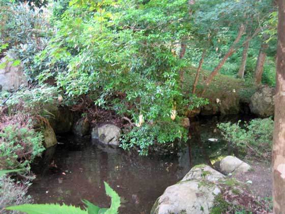 （写真）県民の森にある池