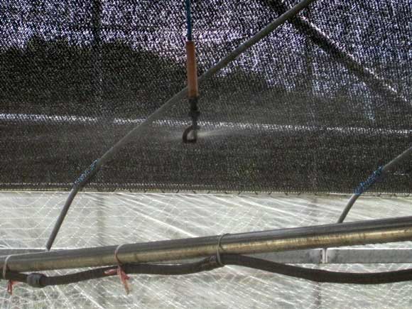 （写真）水が出ています