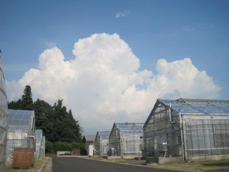 （写真）夏らしい雲