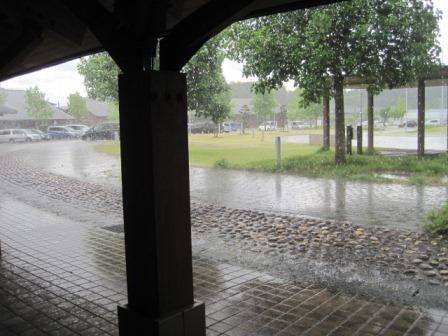 （写真）雨が降りました１