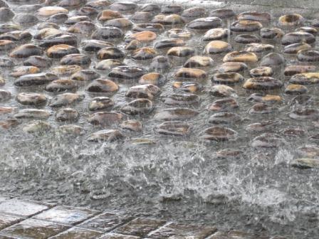 （写真）雨が降りました２