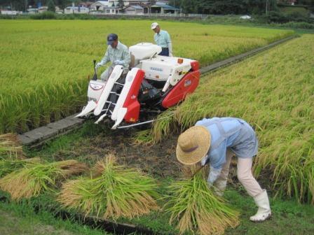 （写真）コンバイン登場☆