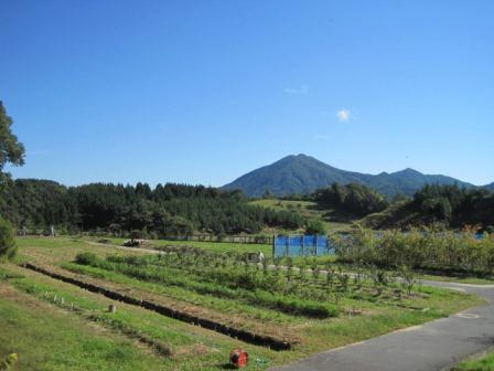 （写真）苗畑から見える琴引山