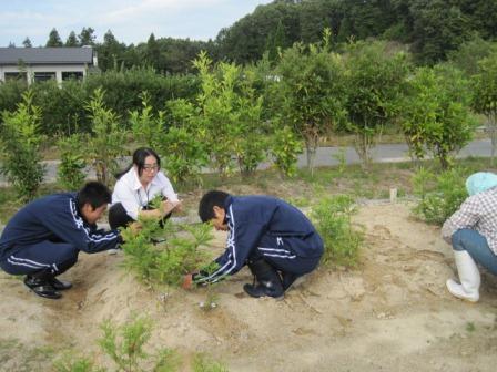 （写真）苗畑にて