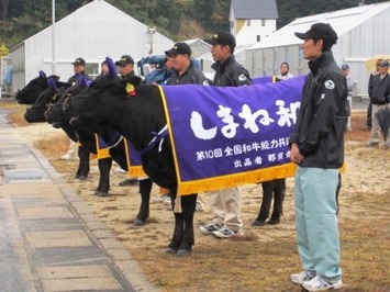 （写真）代表牛4頭