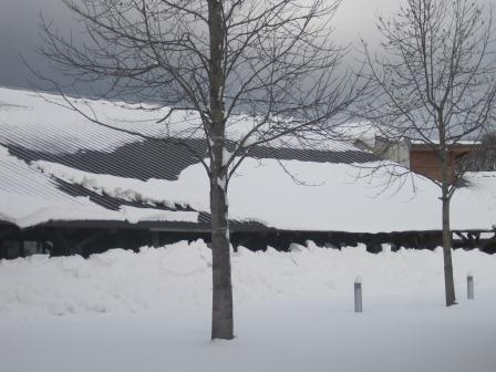 （写真）事務室前の雪
