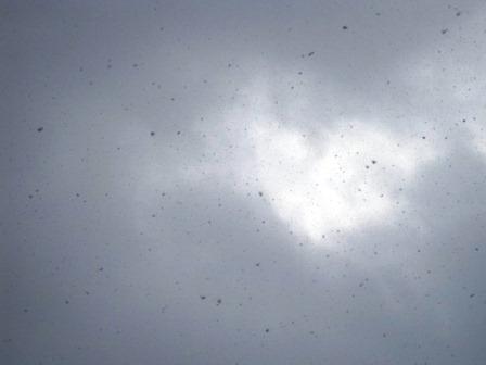 （写真）雪が降っていますその２