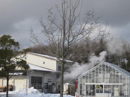 （写真）製材・乾燥実験棟