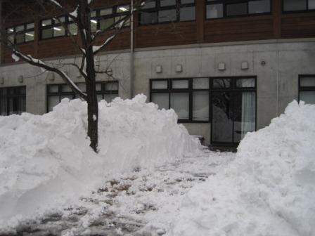 （写真）雪の壁その１