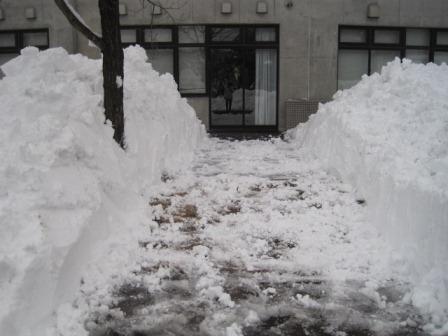 （写真）雪の壁その２
