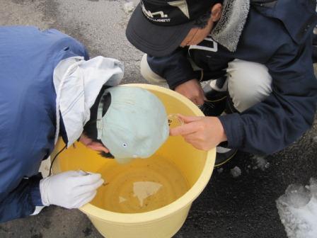 （写真）桶の中の水をガン見