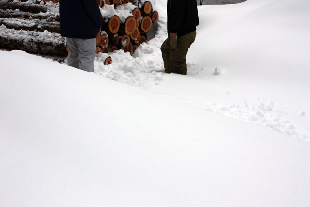 （写真）膝くらいまでの積雪