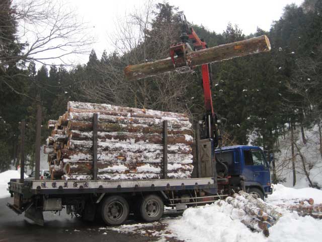 （写真）木材の積み込み