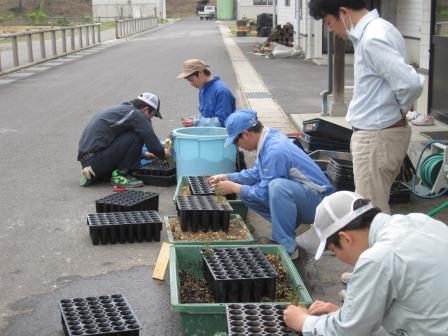 （写真）コンテナ苗づくりの授業１