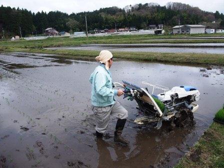 （写真）田植えが始まりましたその２