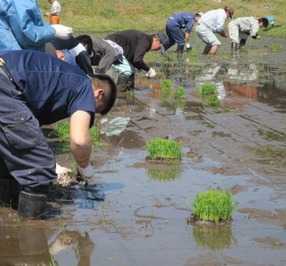 （写真）センターの早乙女たちその１