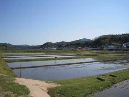 （写真）赤名ほ場その１