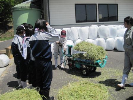 （写真）資源環境科での実習の様子