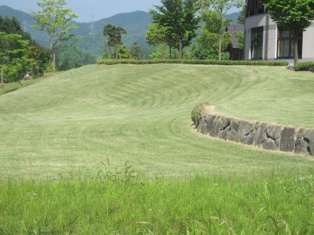 （写真）刈った跡