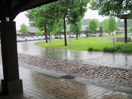 （写真）今日は雨降りです