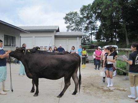 （写真）講習会中その２