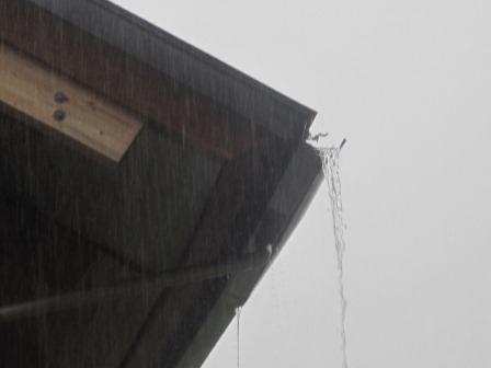 （写真）雨どいから流れ落ちる雨水