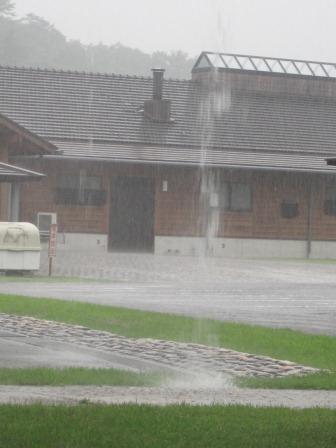 （写真）雨降りの様子