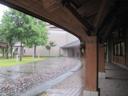 （写真）今日は、雨