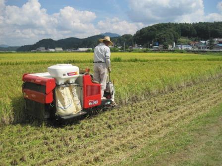 （写真）稲刈り