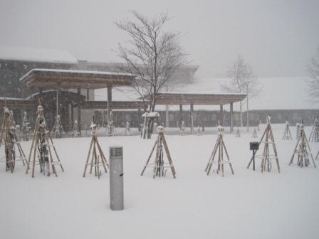 （写真）今朝のセンターその１