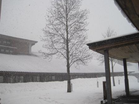 （写真）雪です