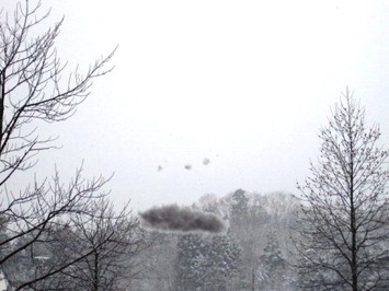 （写真）雪