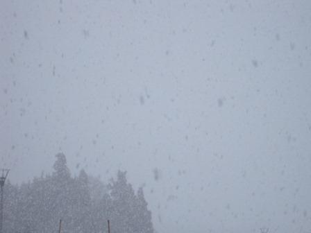 （写真）雪が降っています