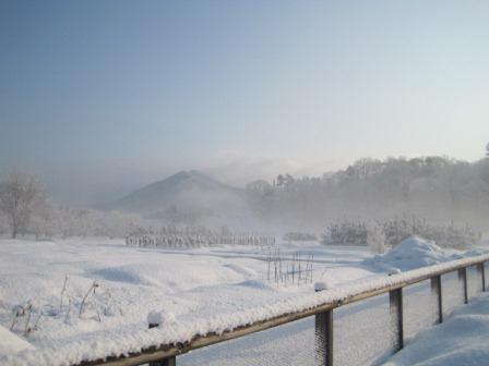 （写真）苗畑から見える琴引山