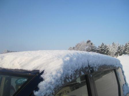 （写真）積雪10数センチくらいかな？