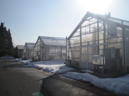 （写真）雪も残り少なくなってきました