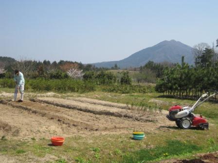 （写真）苗畑にて作業中