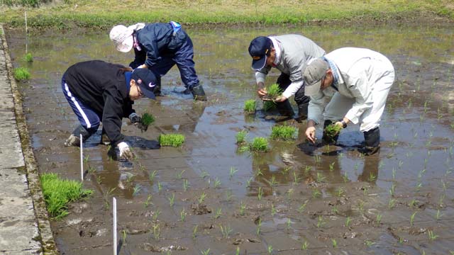 手植え中の写真その１