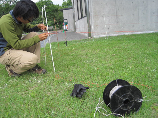 電気柵の設置実習中