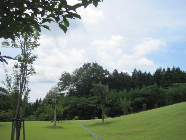 山からはセミの声