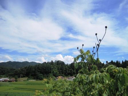 こっちの空は青空です