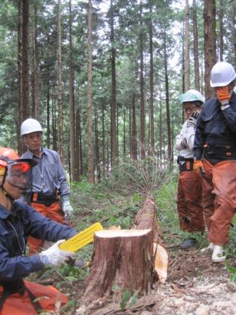 切り口を見て説明中