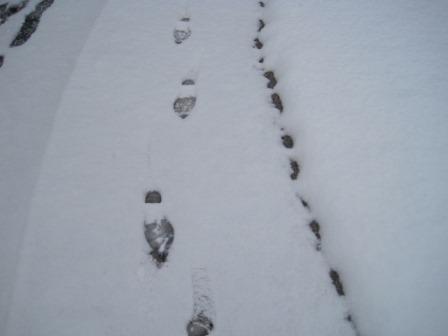 昨日の朝の積雪