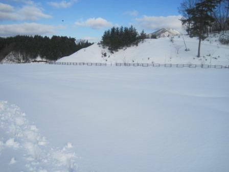 一面雪です