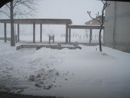 （写真）雪です