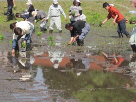 （写真）田植えその１